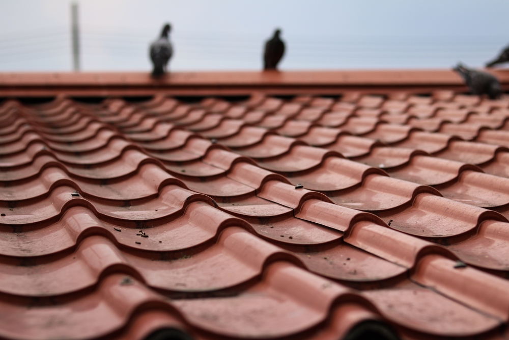 Corner,on,a,roof,covered,with,ceramic,tiles.