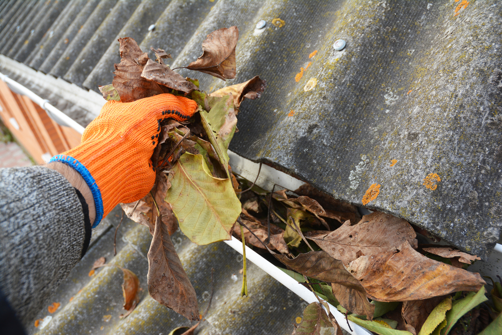 Rain,gutter,cleaning,from,leaves,in,autumn,.,roof,gutter